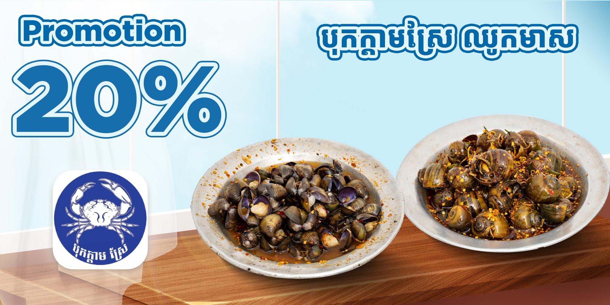 Discount 20%