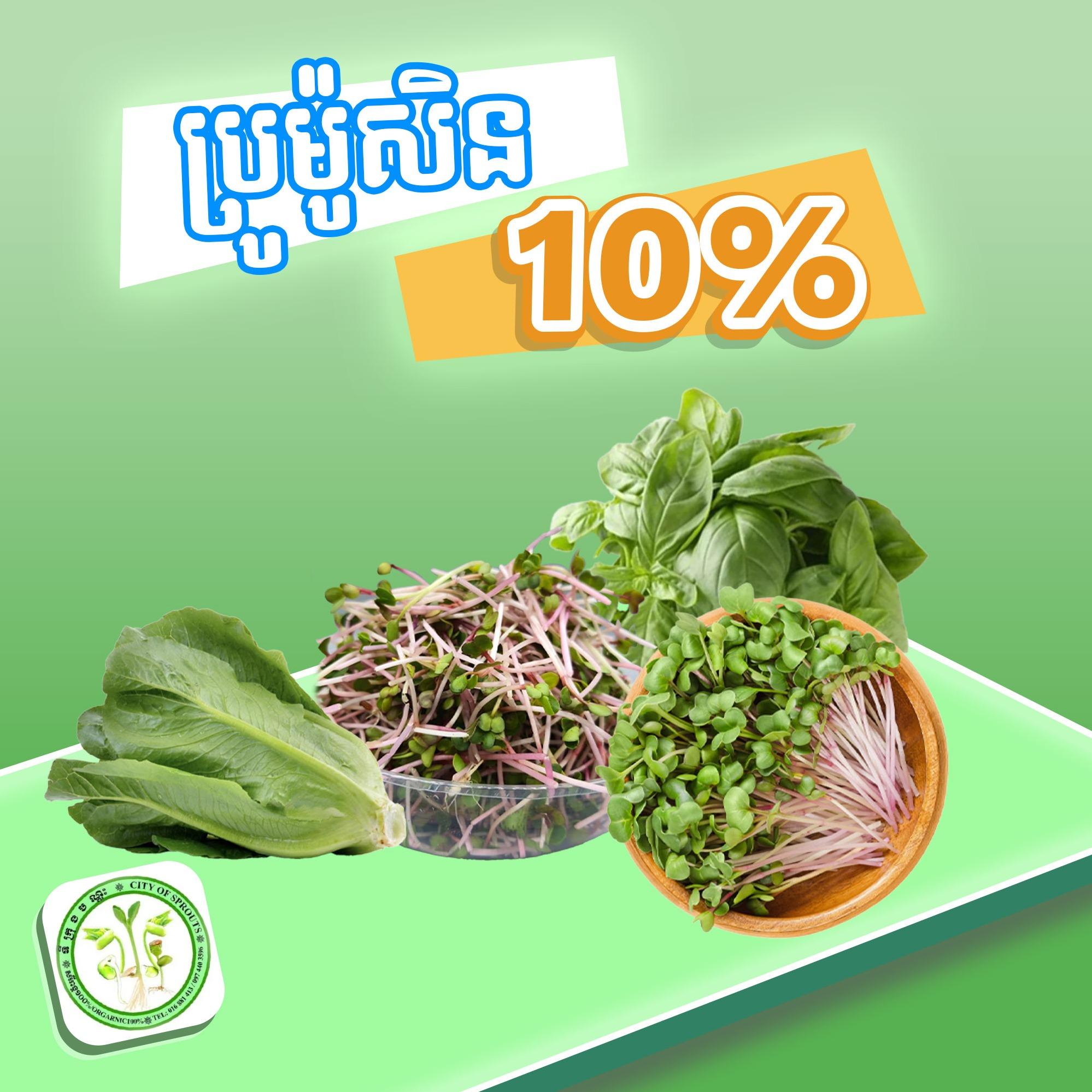 Discount 10 % 